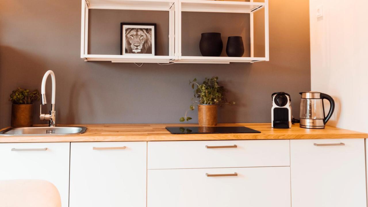 Stay At Smilla - Boutique Apartments Mit Kueche - Parken - Klima - Netflix - Waschmaschine Wiesbaden Exteriör bild